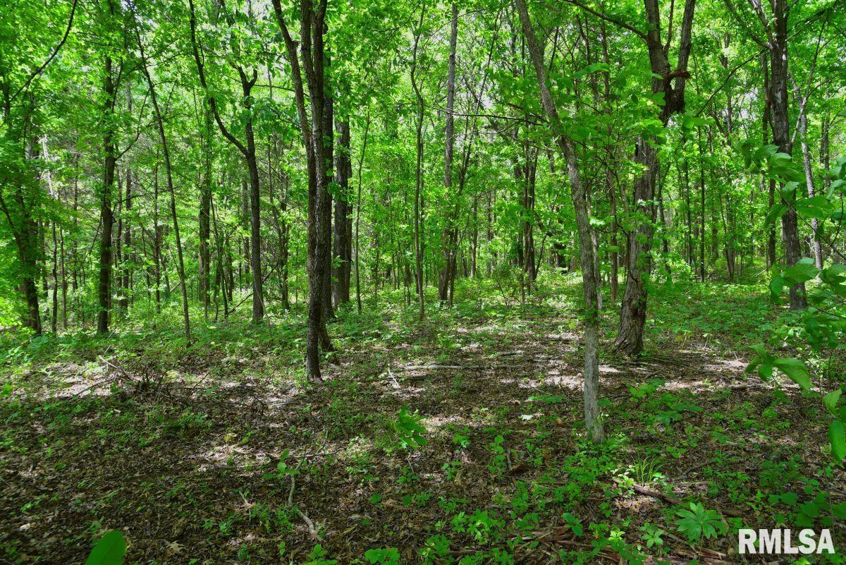 003 Battleford Road, Stonefort, Illinois image 6