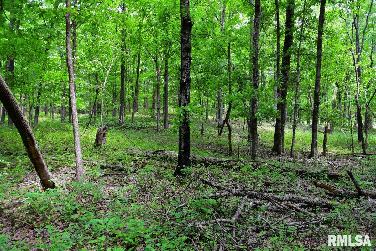 003 Battleford Road, Stonefort, Illinois image 11