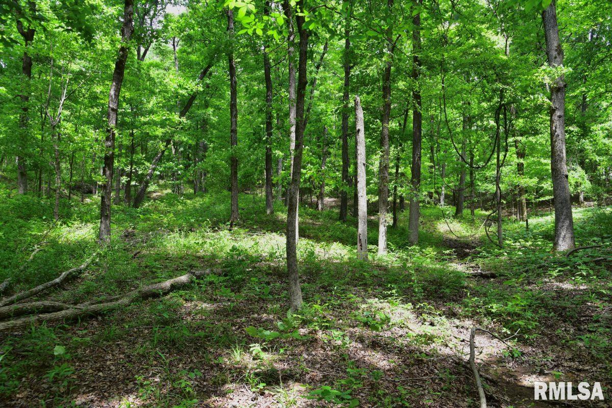 003 Battleford Road, Stonefort, Illinois image 24