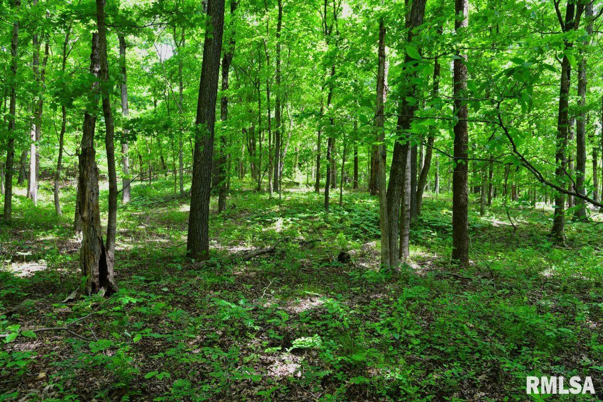 003 Battleford Road, Stonefort, Illinois image 12