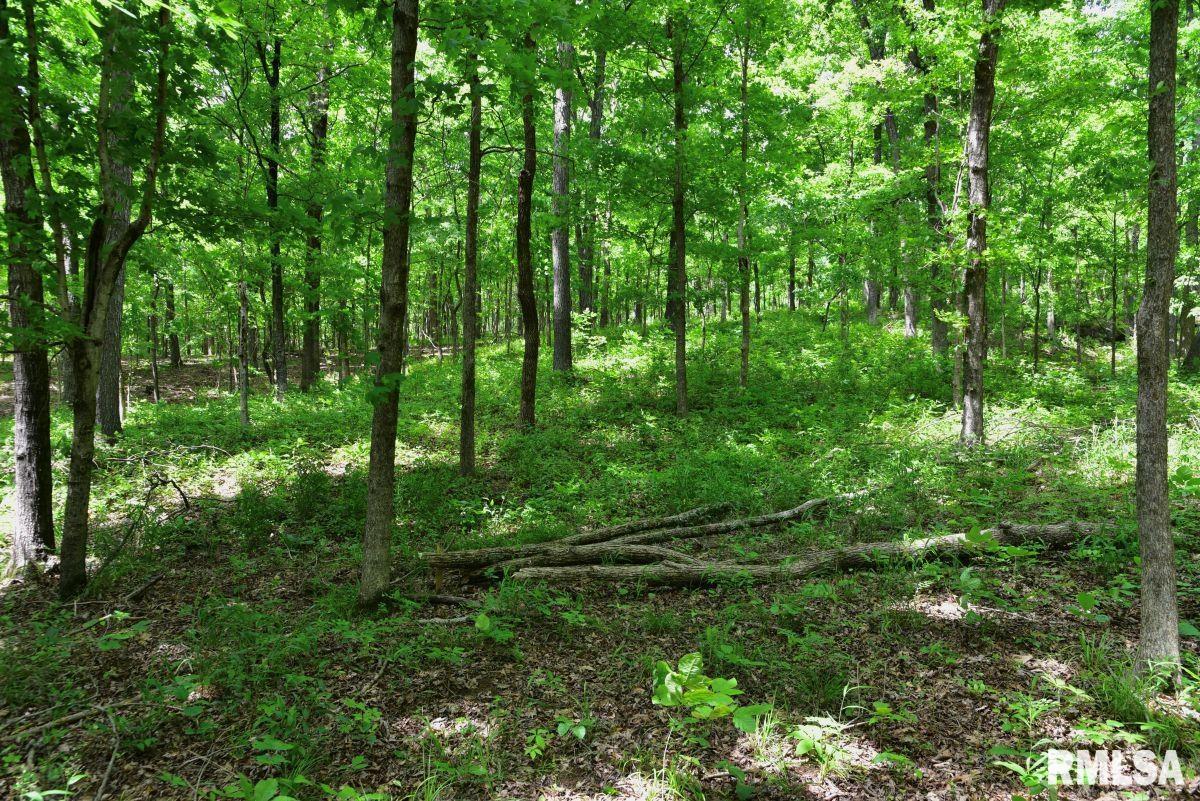 003 Battleford Road, Stonefort, Illinois image 16
