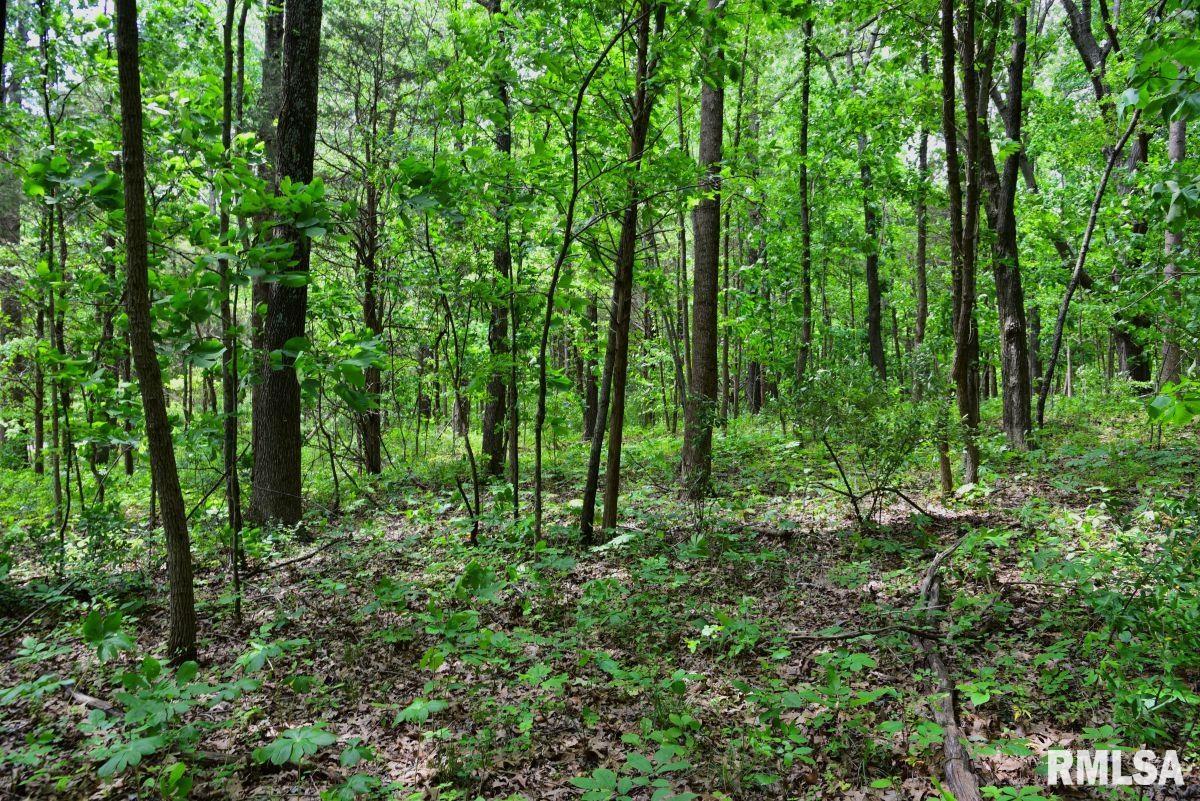 003 Battleford Road, Stonefort, Illinois image 14