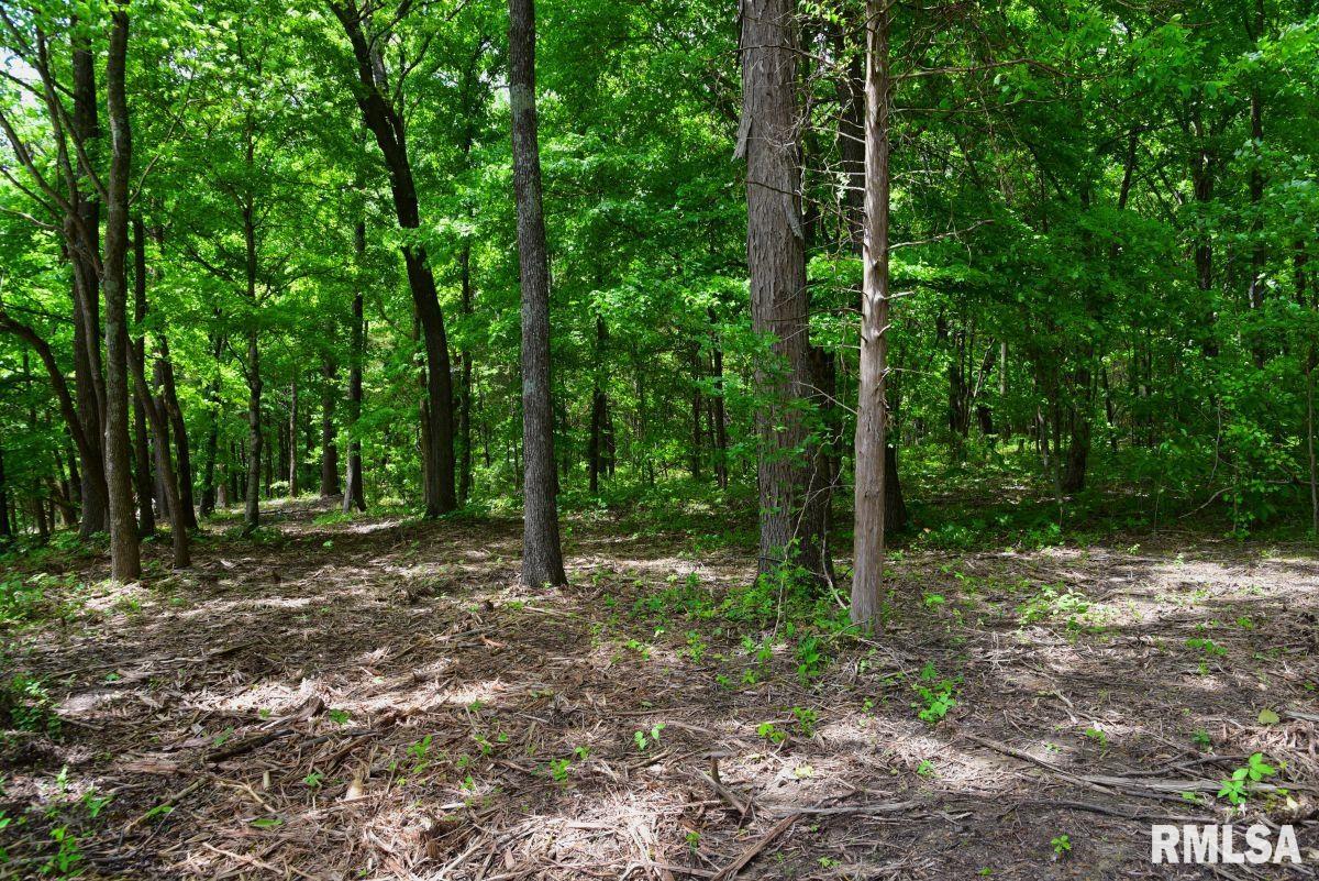 003 Battleford Road, Stonefort, Illinois image 3