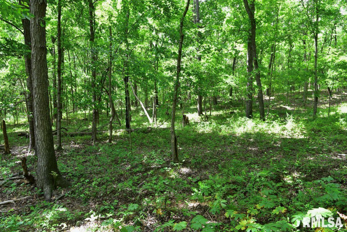 003 Battleford Road, Stonefort, Illinois image 18