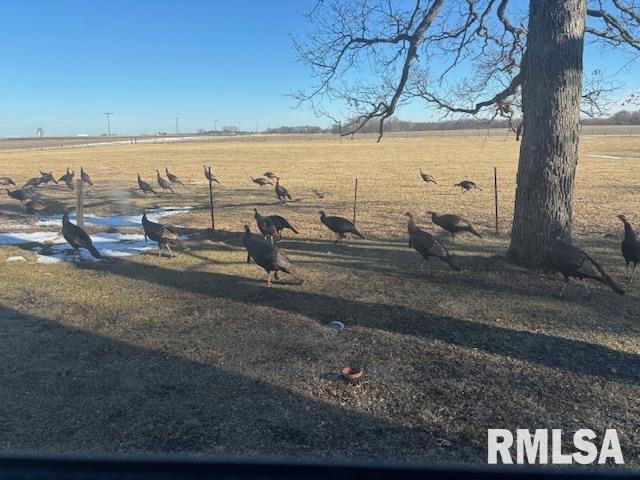 31068 Il Hwy 29 Highway, Spring Valley, Illinois image 9