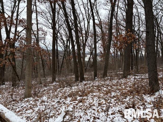 31068 Il Hwy 29 Highway, Spring Valley, Illinois image 5