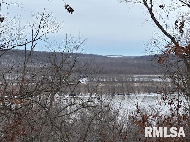 31068 Il Hwy 29 Highway, Spring Valley, Illinois image 6