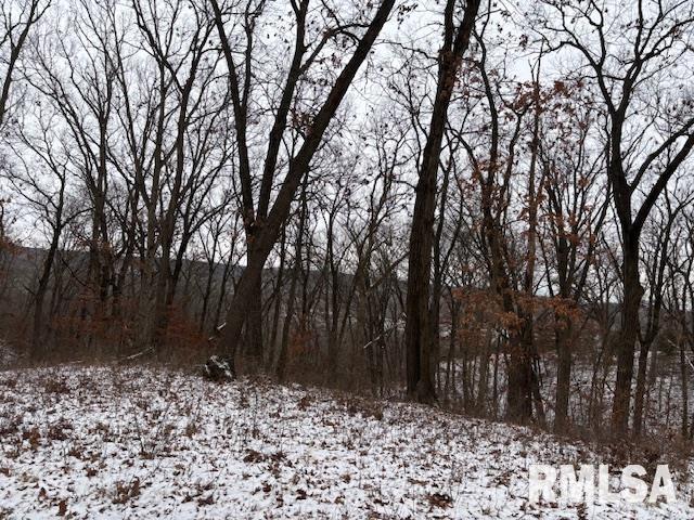 31068 Il Hwy 29 Highway, Spring Valley, Illinois image 4