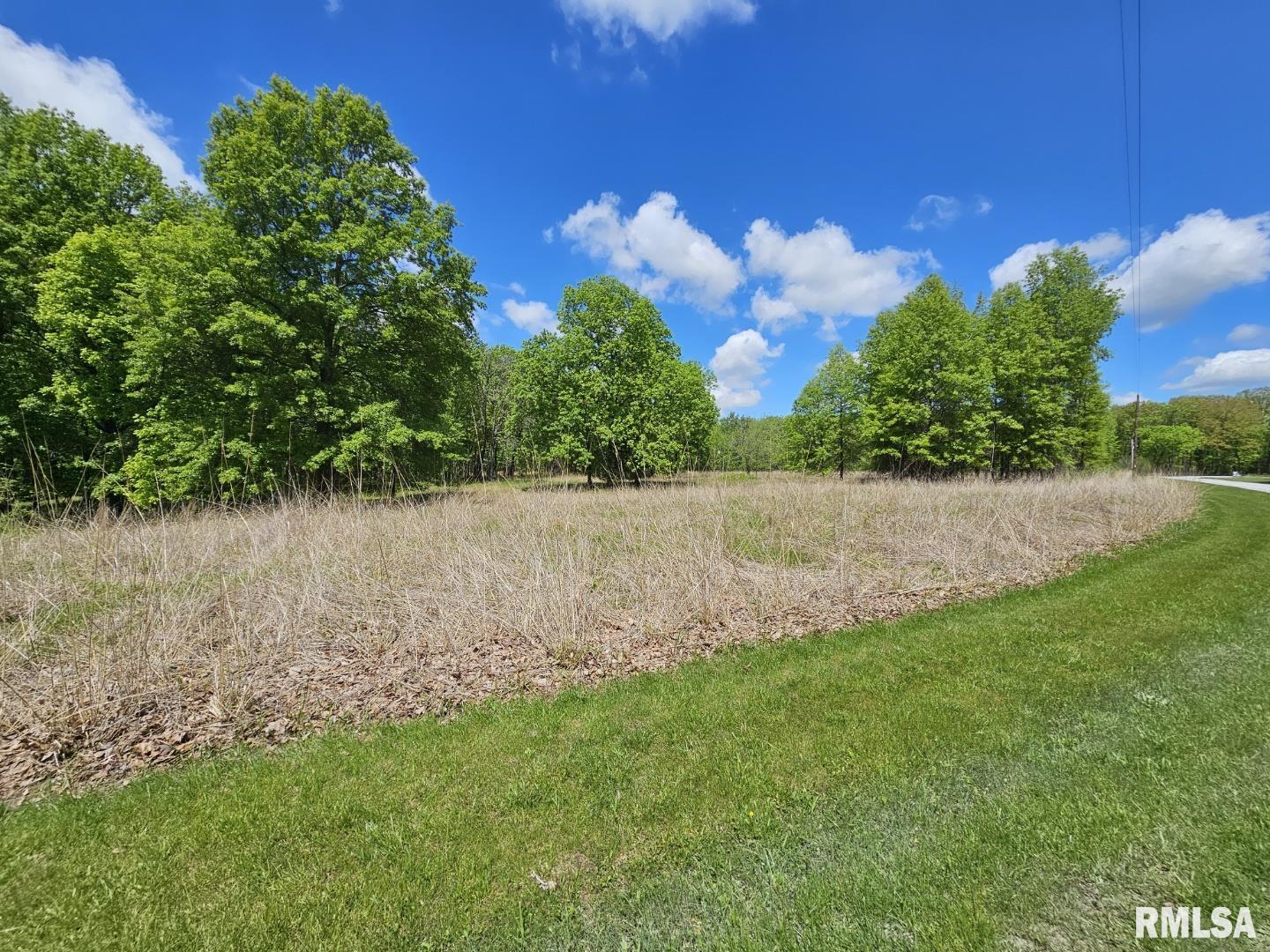 Lot 41 N Deer Park Drive, Dix, Illinois image 1