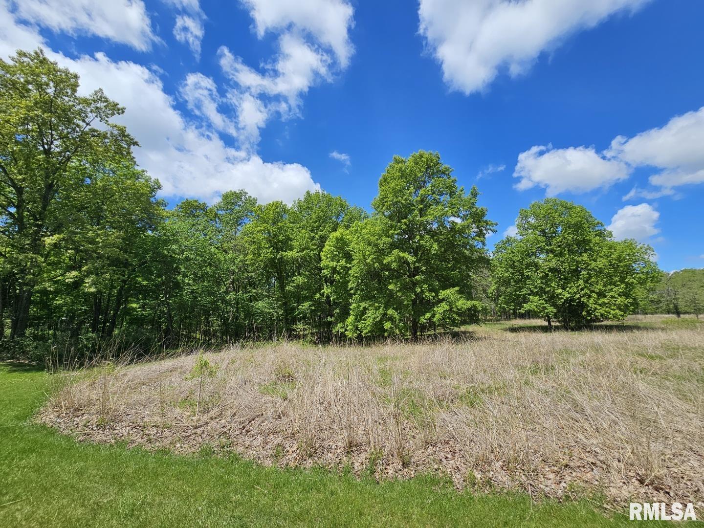 Lot 41 N Deer Park Drive, Dix, Illinois image 2