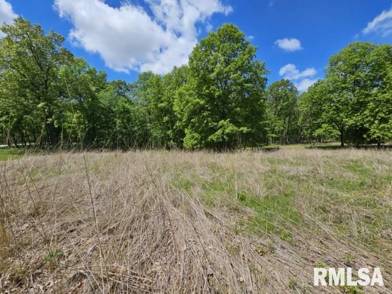 Lot 41 N Deer Park Drive, Dix, Illinois image 7