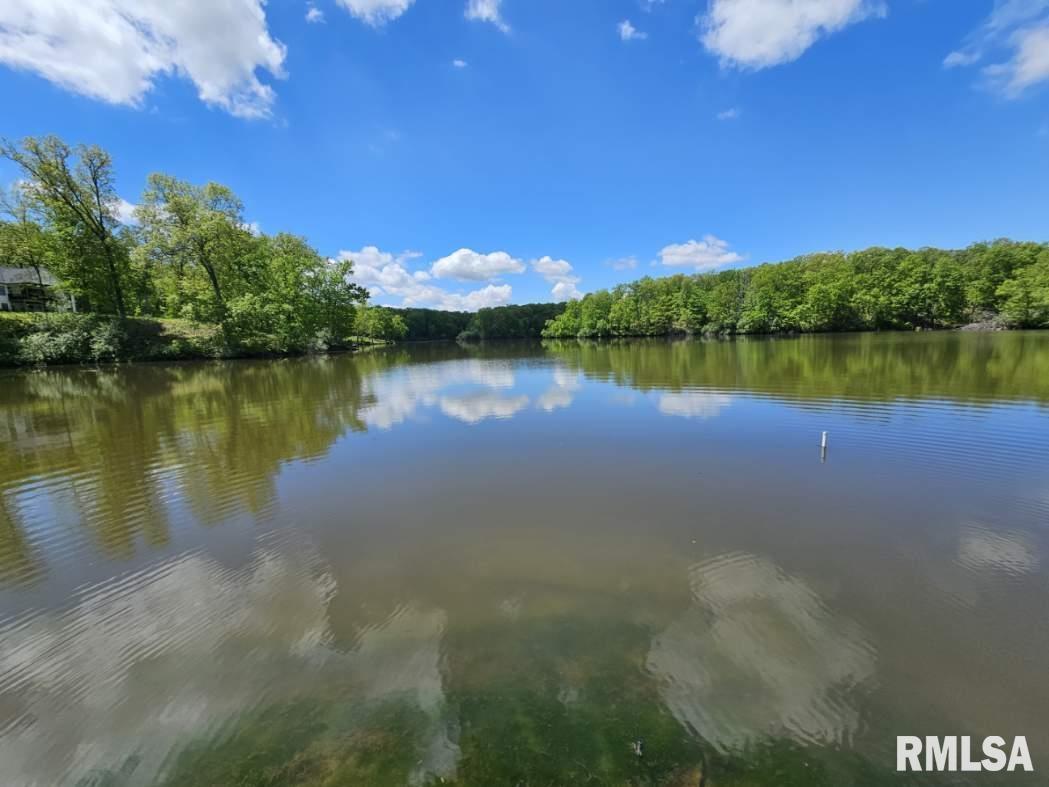 Lot 41 N Deer Park Drive, Dix, Illinois image 3