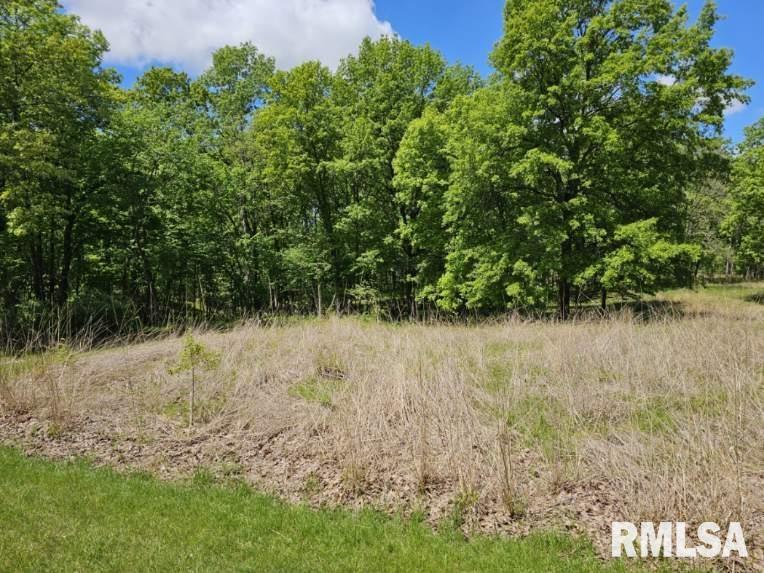 Lot 41 N Deer Park Drive, Dix, Illinois image 4
