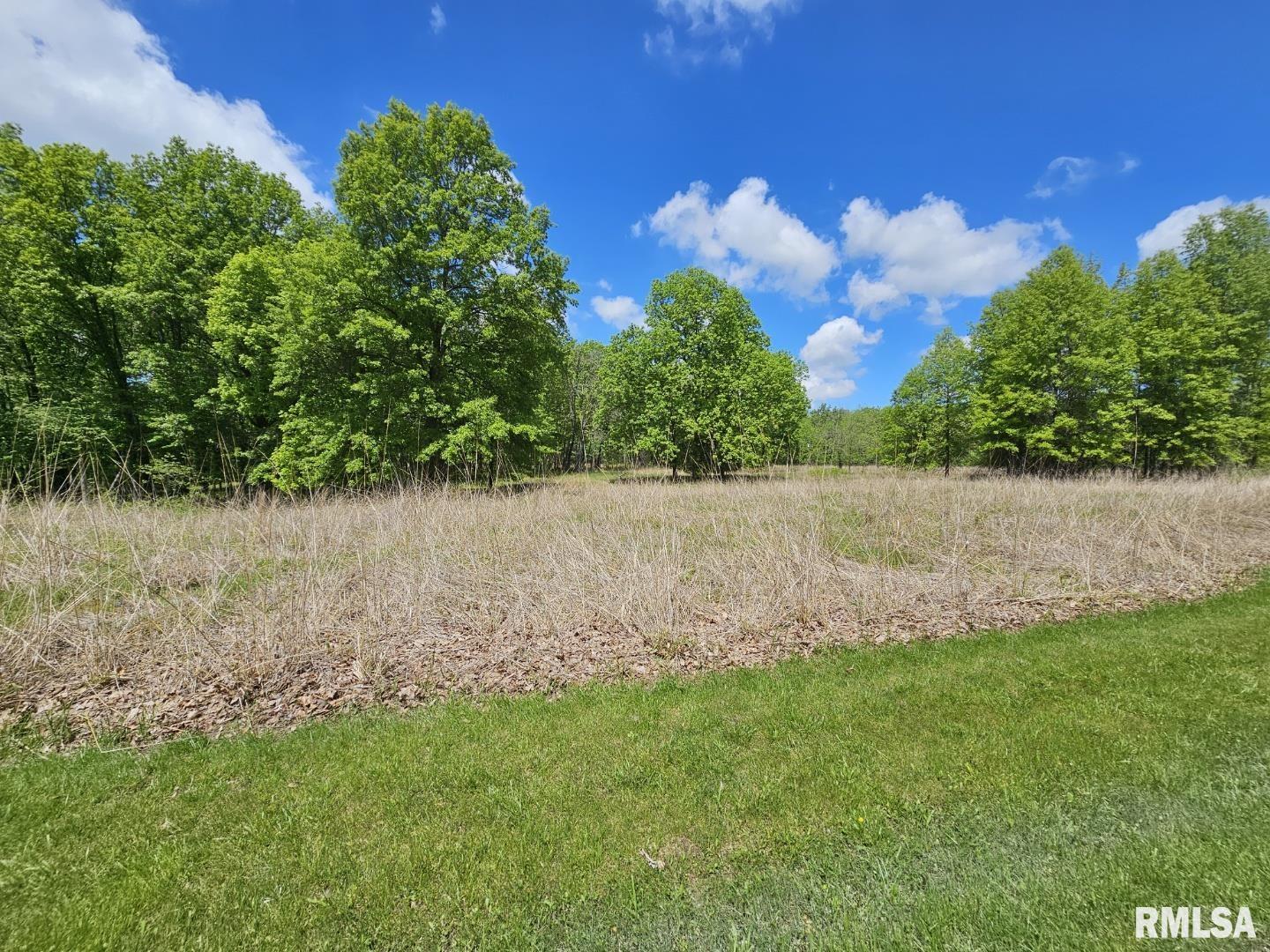 Lot 41 N Deer Park Drive, Dix, Illinois image 6