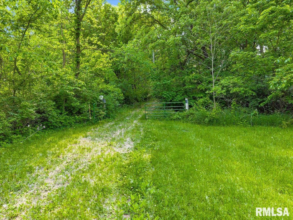 Fantasy Lane, Chillicothe, Illinois image 2