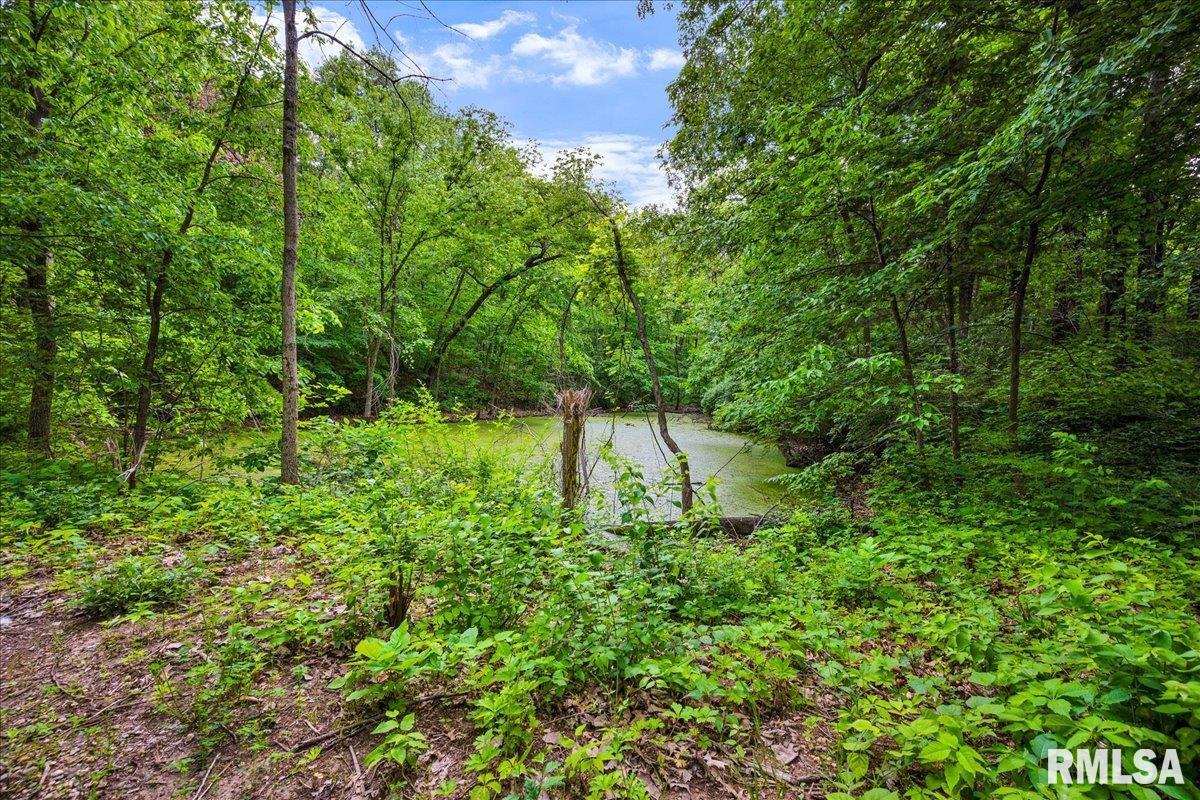 Fantasy Lane, Chillicothe, Illinois image 15