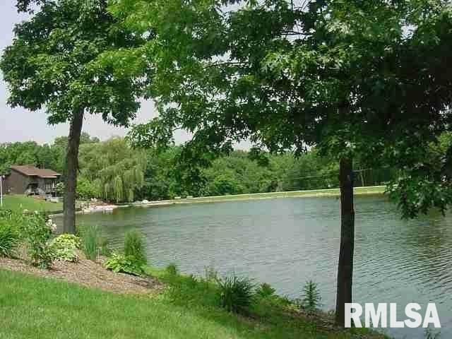 LOT 49 Rustic Lake Estates, Colona, Illinois image 1