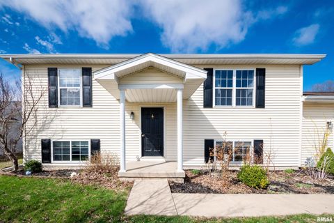 Homes For Sale - 111 Jackson Street<br/> Tazewell County, Deer Creek, IL 61733