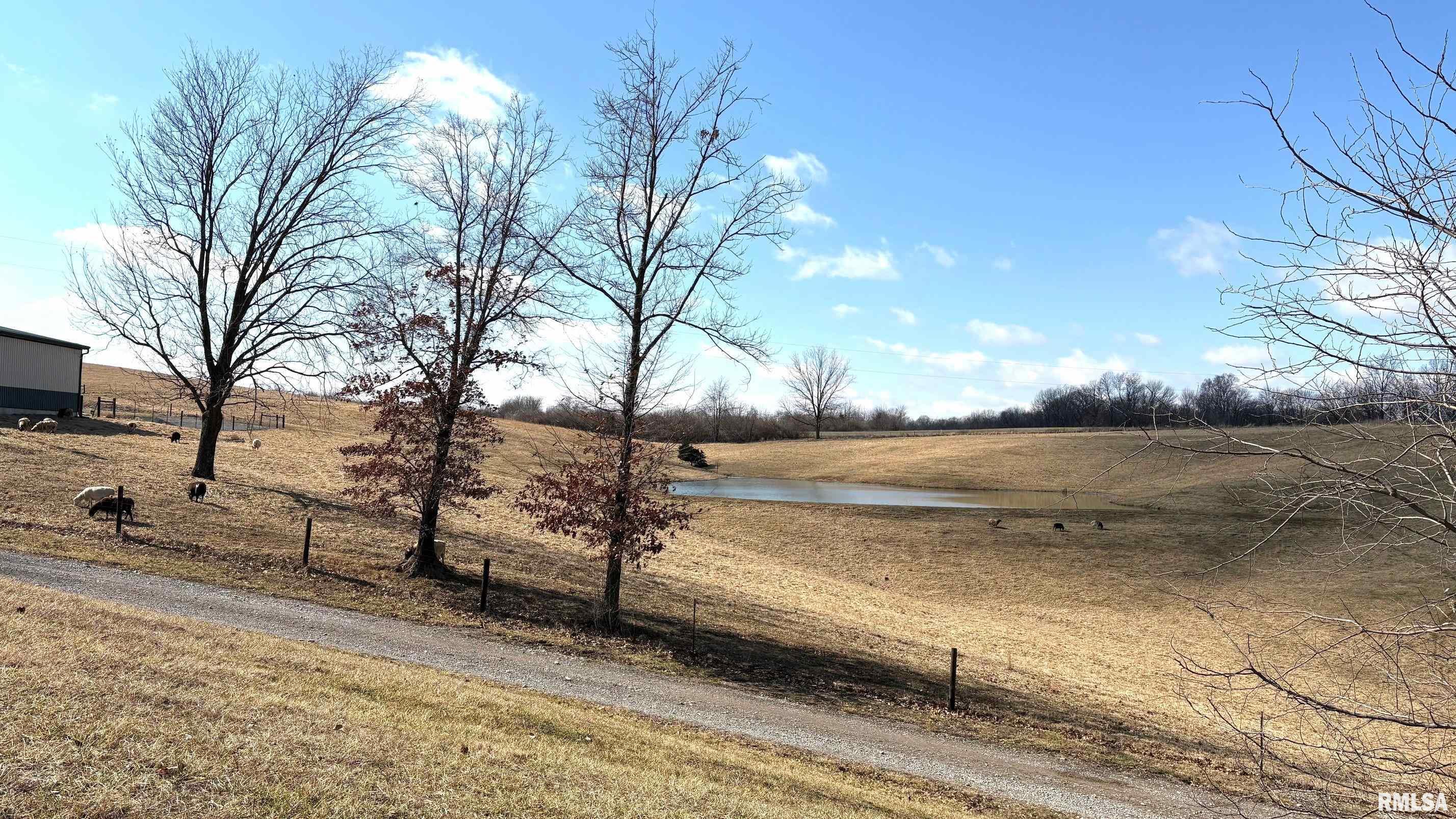 1548 Koehn Road, Ava, Illinois image 7