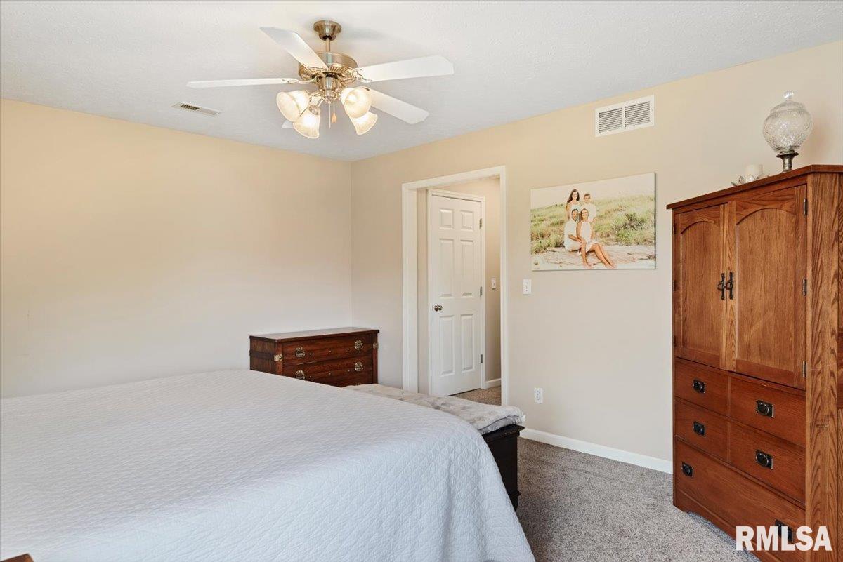 1509 Saltcedar Court, Springfield, Illinois image 31