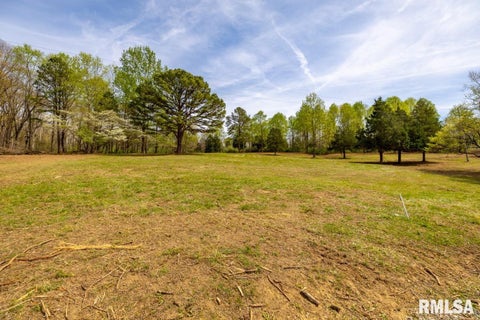 Vacant Land For Sale - 000 Dutton Chapel Road<br/> Pope County, Golconda, IL 62938