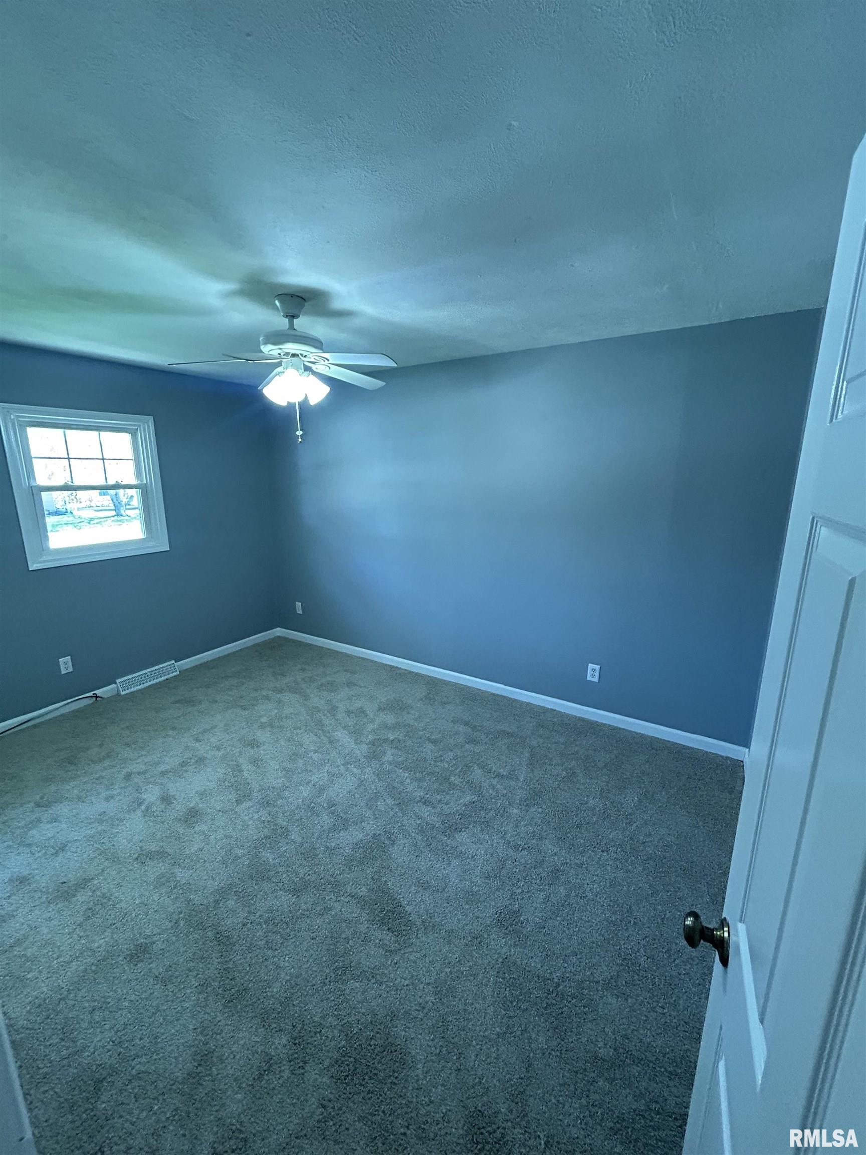 3921 Gooseneck Drive, Springfield, Illinois image 11