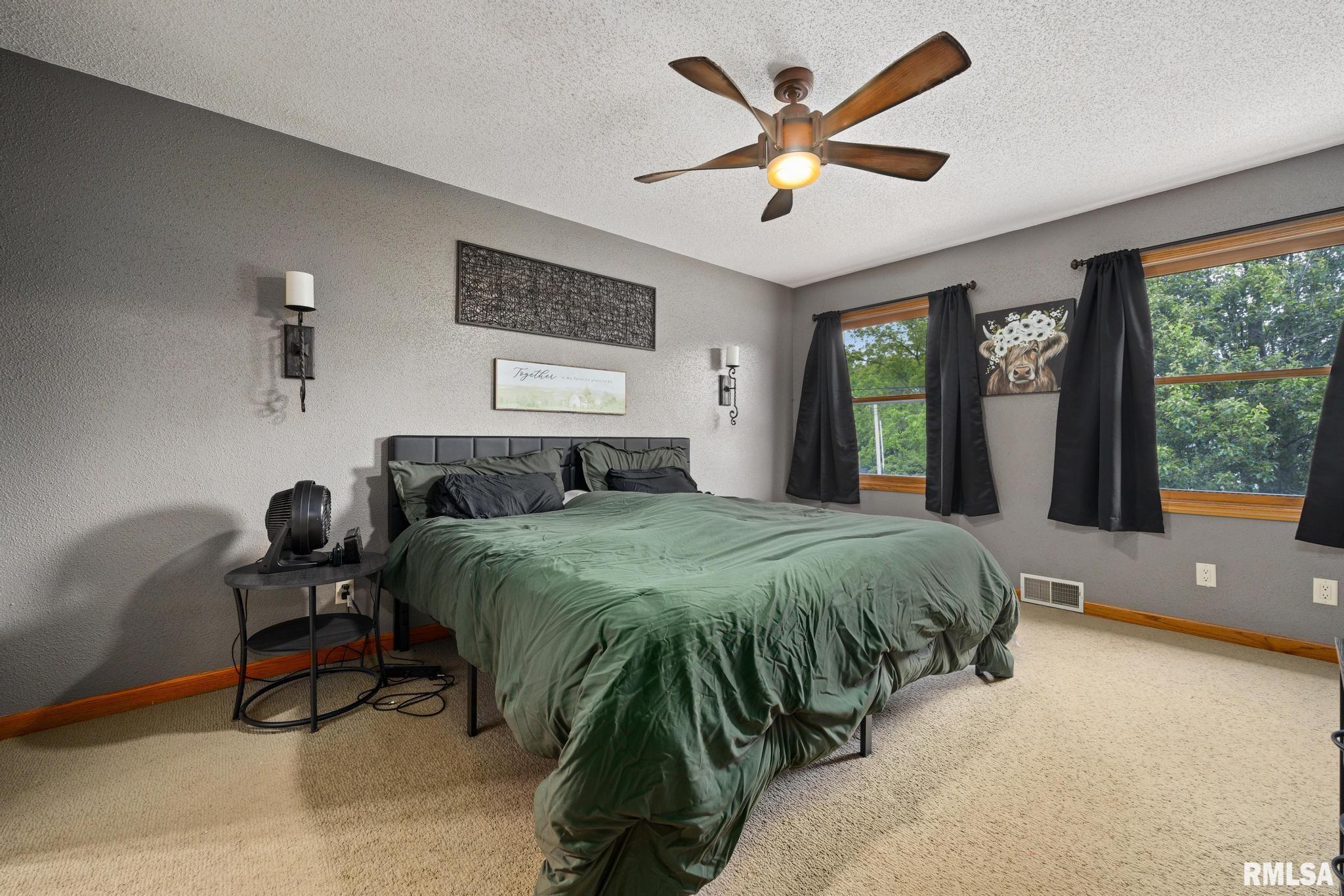 307 Brandy Drive, Mackinaw, Illinois image 21