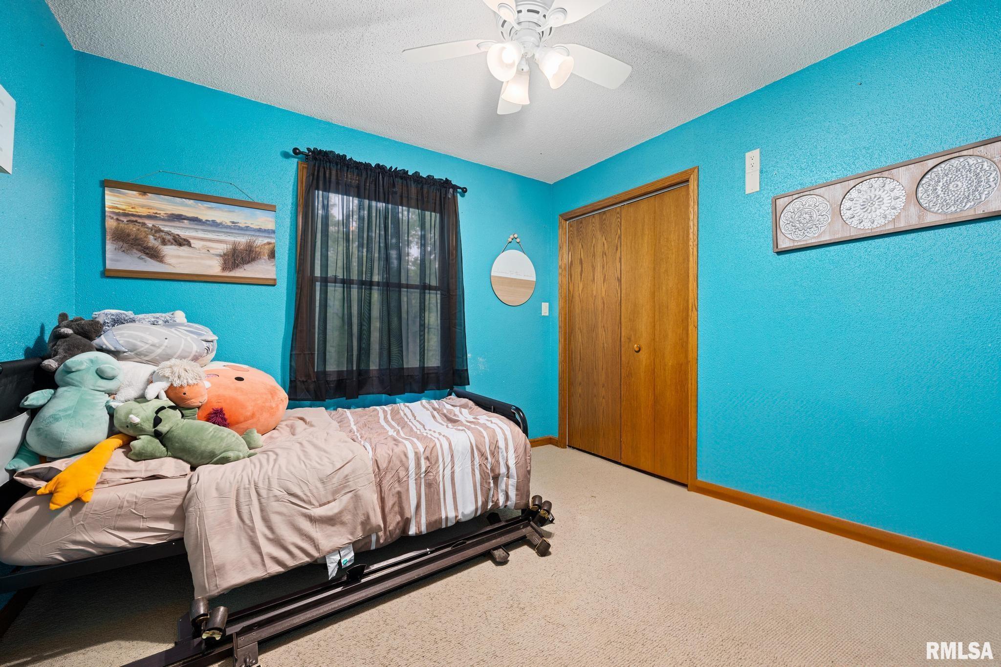 307 Brandy Drive, Mackinaw, Illinois image 29