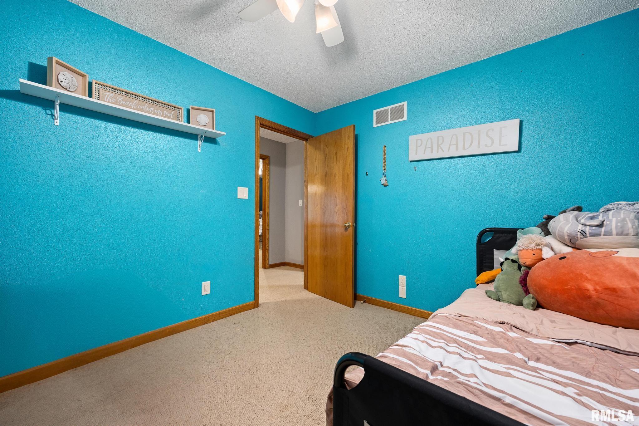 307 Brandy Drive, Mackinaw, Illinois image 30