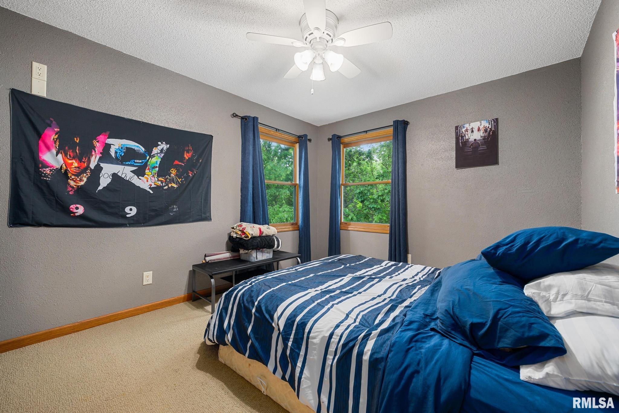 307 Brandy Drive, Mackinaw, Illinois image 27