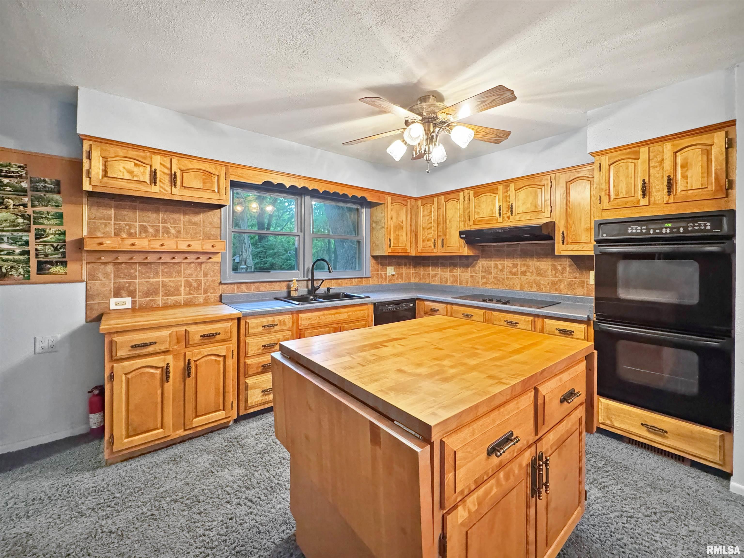 6006 N Big Hollow Road, Peoria, Illinois image 11