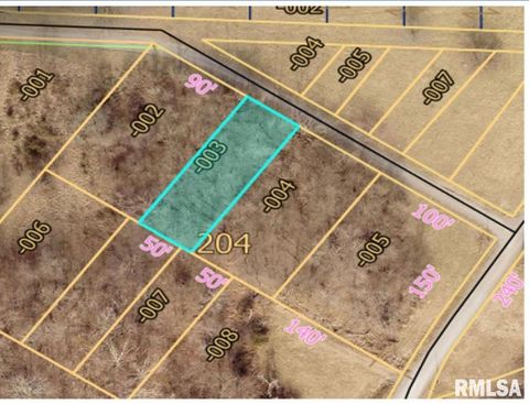 Vacant Land For Sale - TBD Dewey Street<br/> Murphysboro, IL 62966