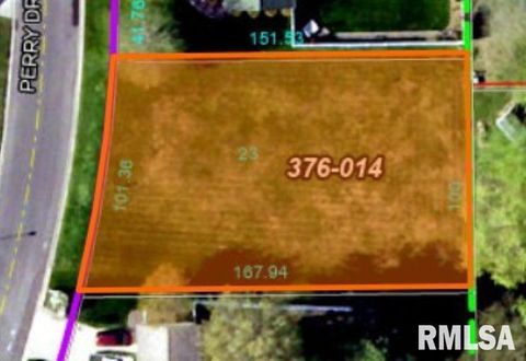 Vacant Land For Sale - 18880 Perry Drive<br/> Macoupin County, Virden, IL 62690