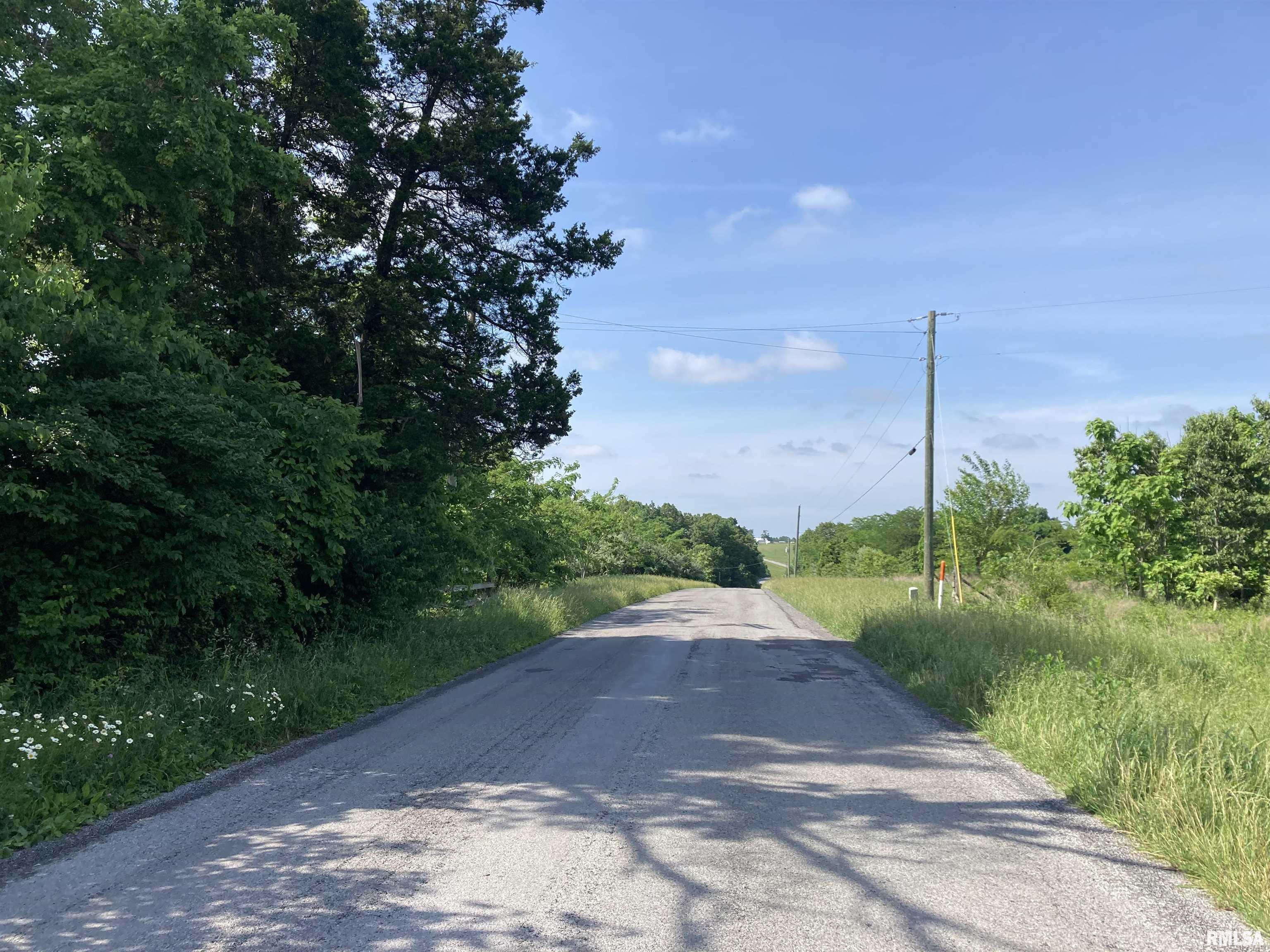 0000 Parrish Ridge Lane, Goreville, Illinois image 9