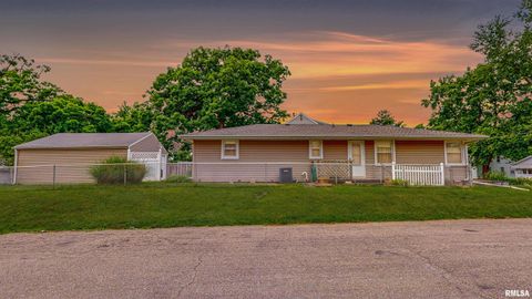 Homes For Sale - 1128 E Maywood Avenue<br/> Peoria County, Peoria, IL 61603