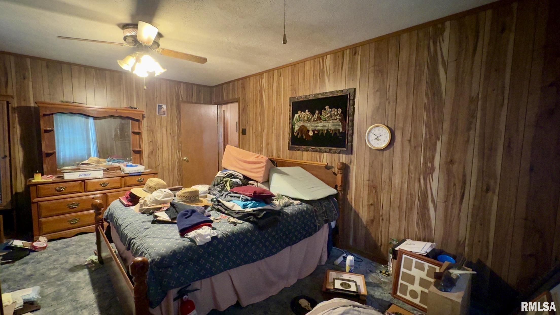 11218 Old Lake Road, Benton, Illinois image 11