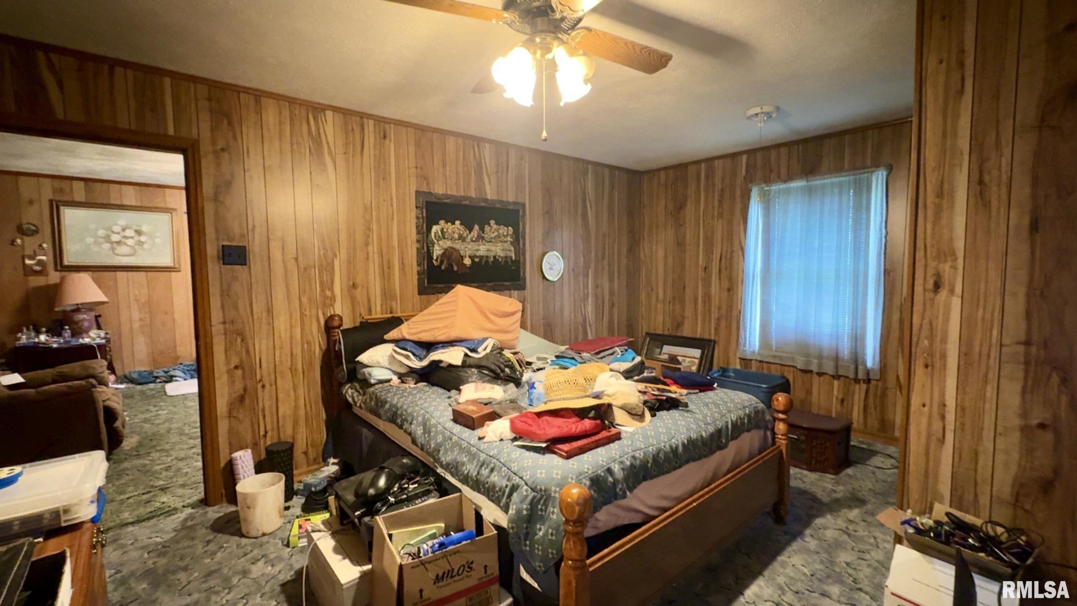 11218 Old Lake Road, Benton, Illinois image 12