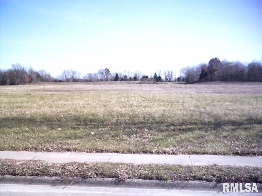 Lot 11 Financial Drive, Carbondale, Illinois image 1