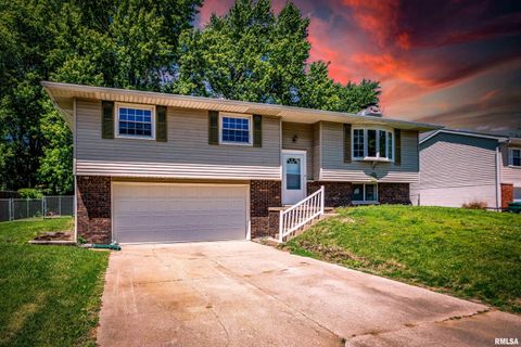 Homes For Sale - 109 Cedar Court<br/> East Peoria, IL 61611