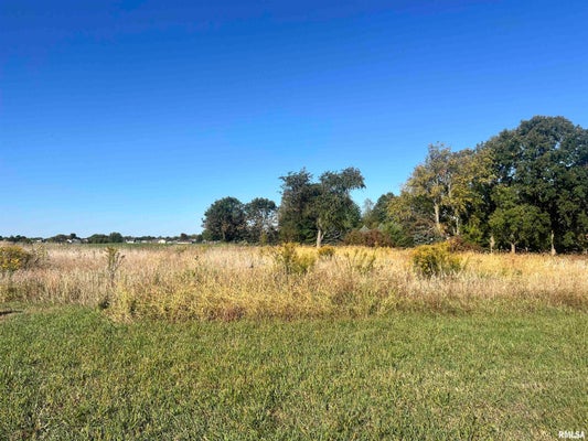 LOT 84 KYLE COURT, METAMORA, IL 61548 - Image 3d207cddc3de3d9d538b004111626fb6/2491388659