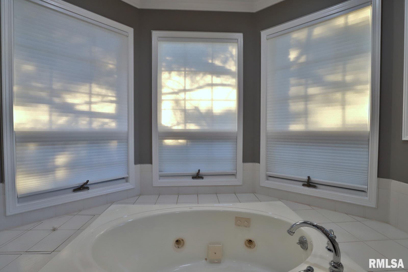 132 Star Rim Drive, East Peoria, Illinois image 37
