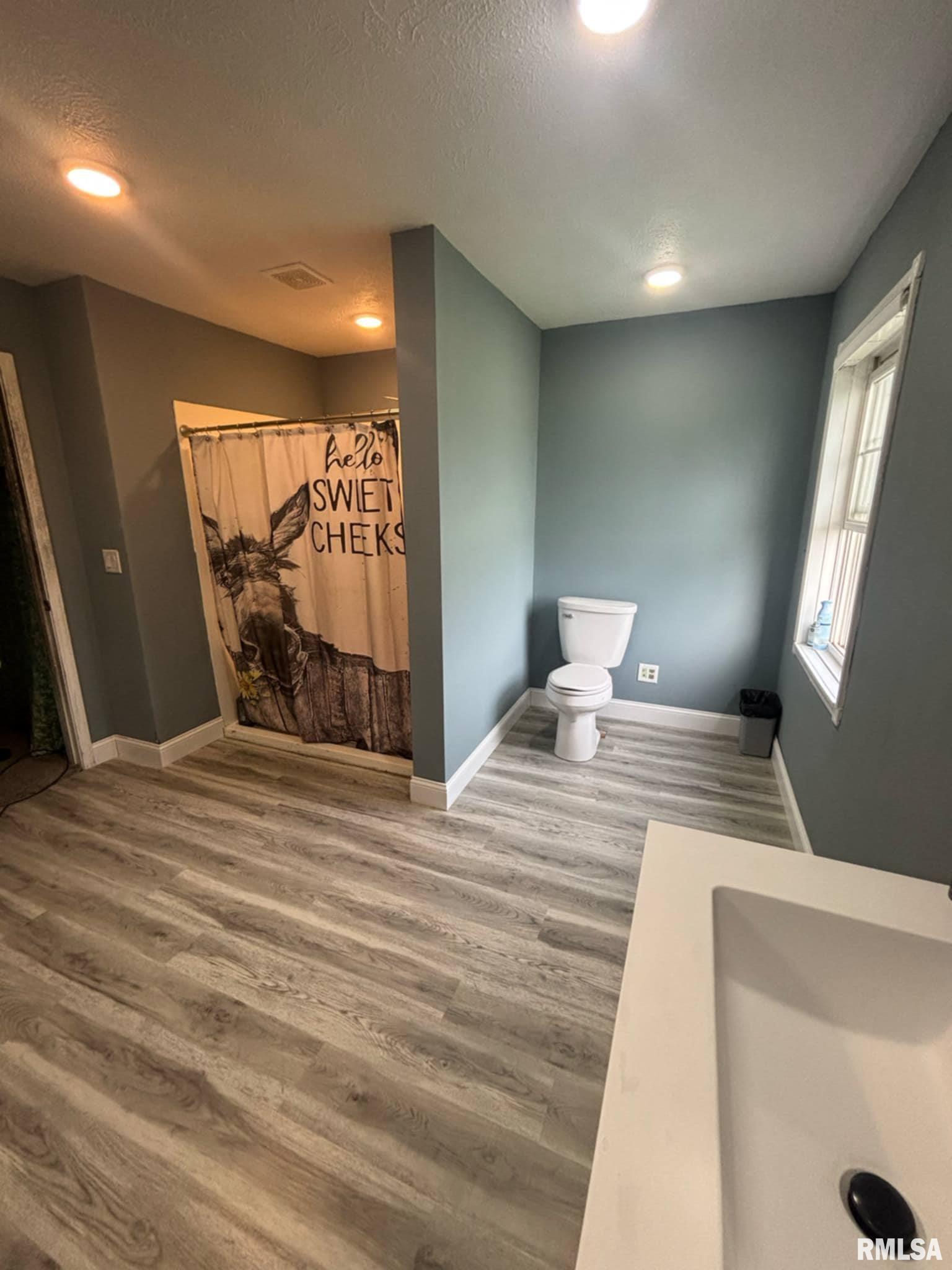 17116 Old Town Drive, Sesser, Illinois image 19