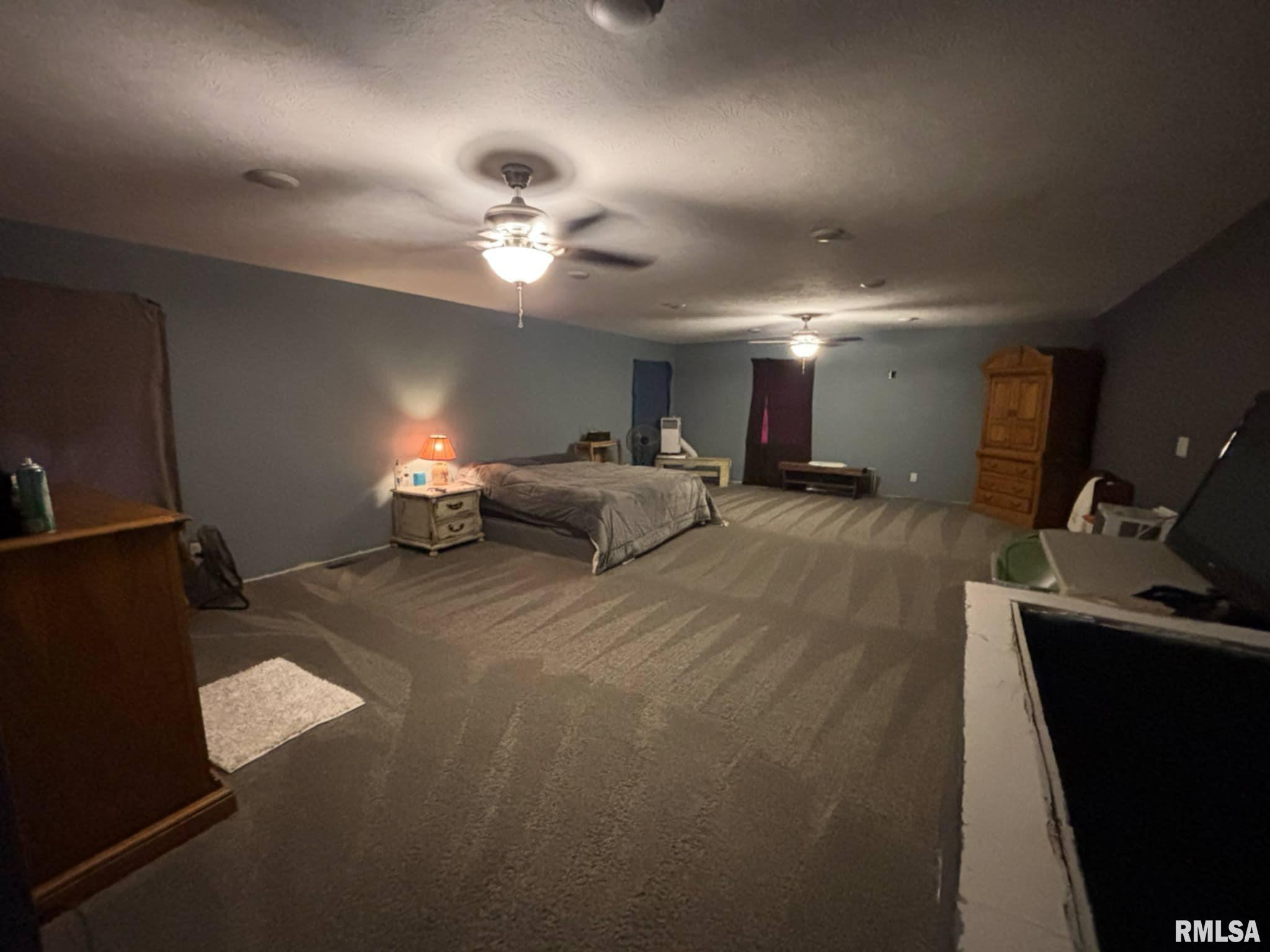 17116 Old Town Drive, Sesser, Illinois image 24