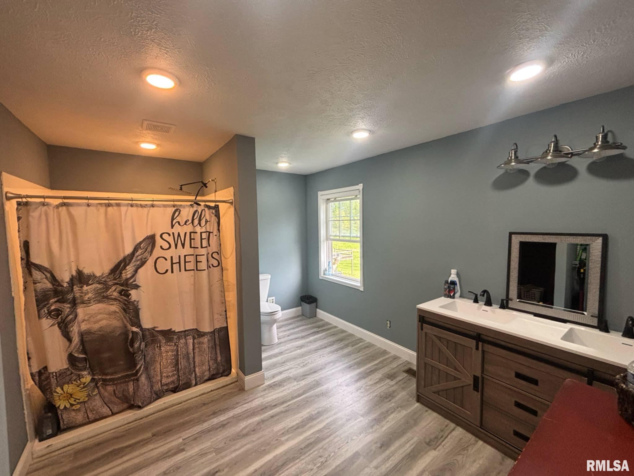 17116 Old Town Drive, Sesser, Illinois image 20