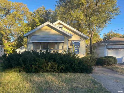 Homes For Sale - 2308 N Ellis Street<br/> Peoria County, Peoria, IL 61604