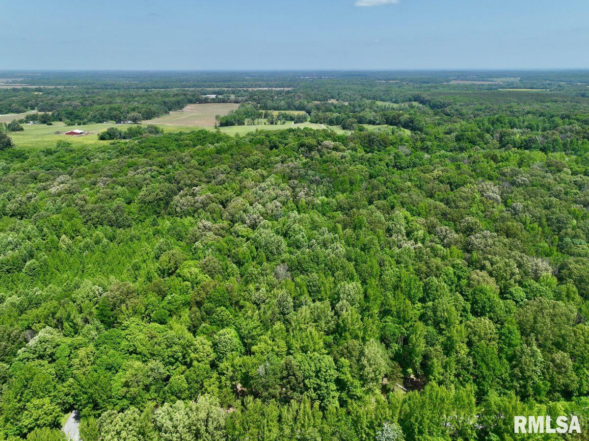 000 Battleford Road, Stonefort, Illinois image 13