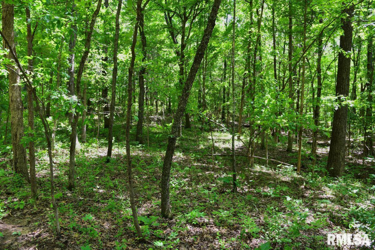 000 Battleford Road, Stonefort, Illinois image 18