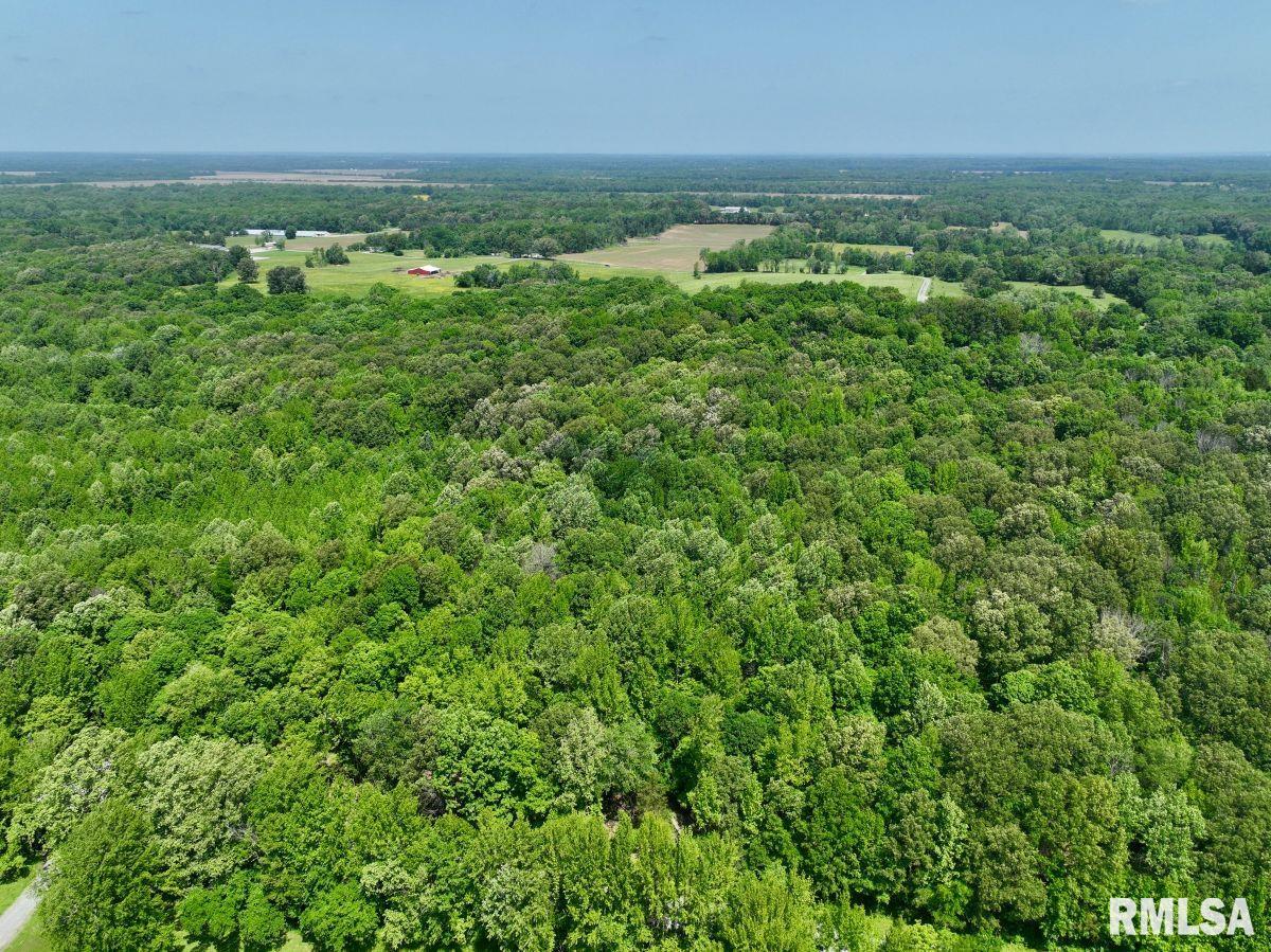 000 Battleford Road, Stonefort, Illinois image 17