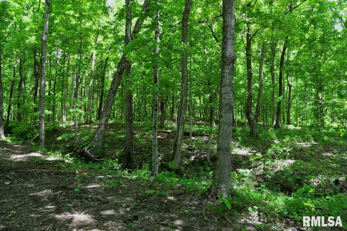 000 Battleford Road, Stonefort, Illinois image 4