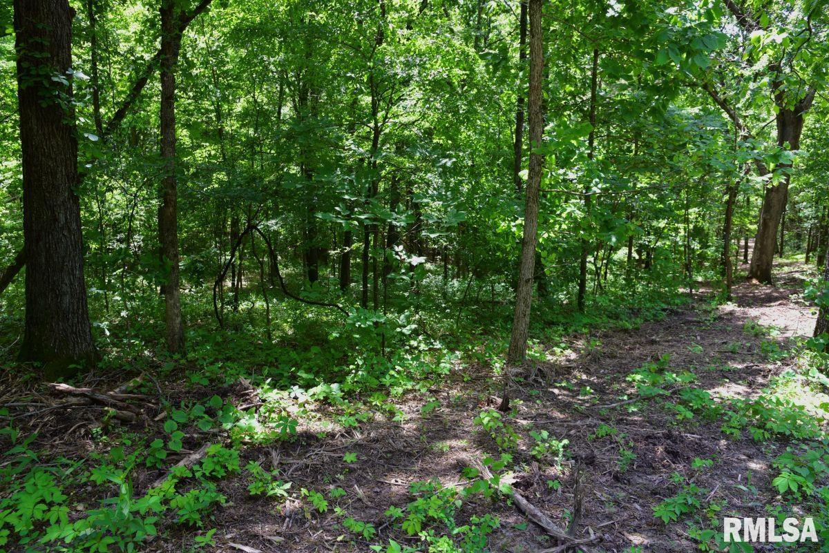 000 Battleford Road, Stonefort, Illinois image 7